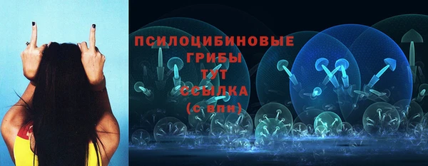 2c-b Балахна