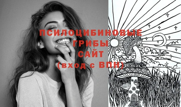 2c-b Балахна
