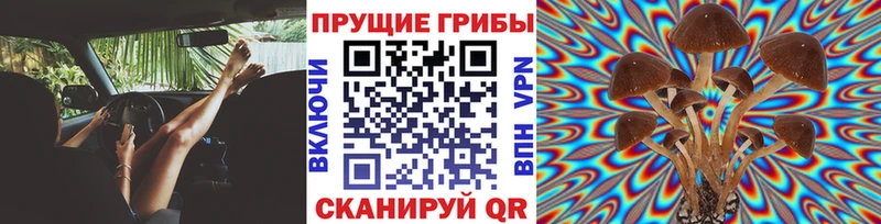 Псилоцибиновые грибы GOLDEN TEACHER  blacksprut ссылки  darknet клад  Красково 