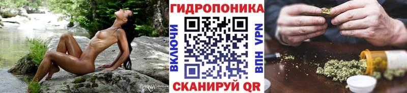 Конопля Bruce Banner  Красково 